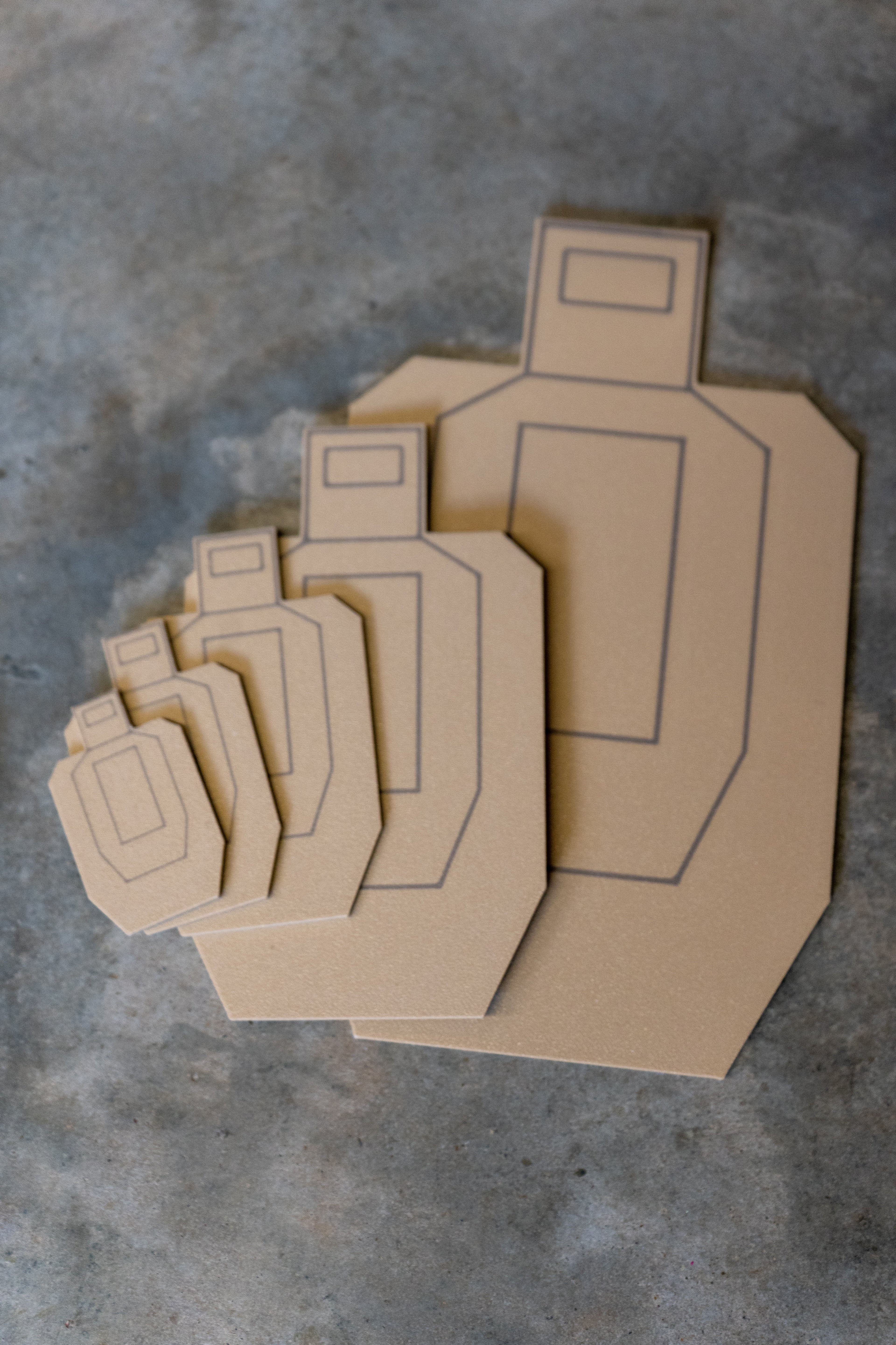 IPSC dry fire target SET