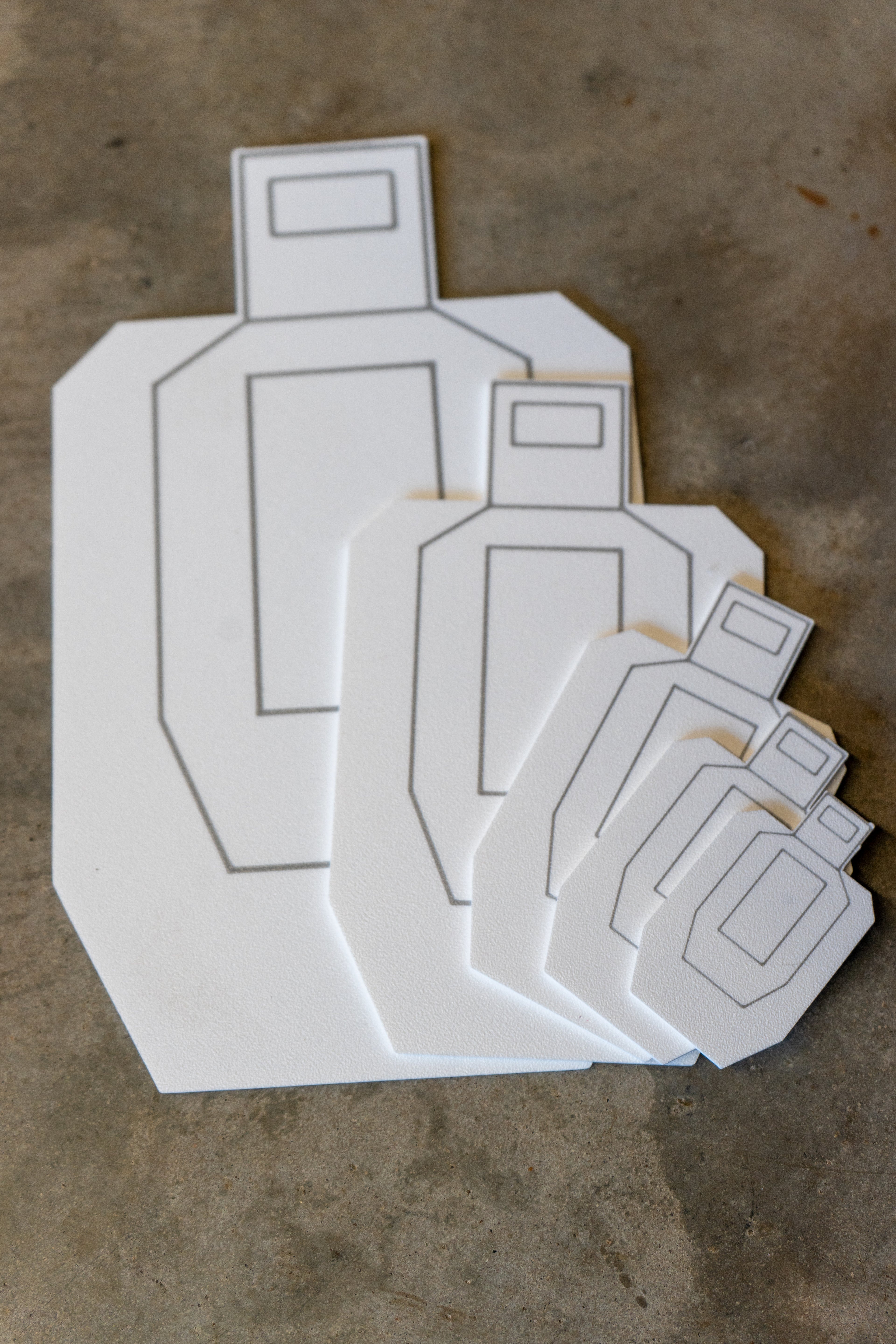 IPSC dry fire target SET