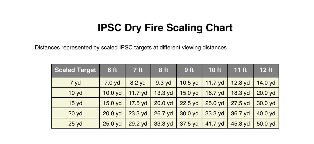 IPSC dry fire target SET